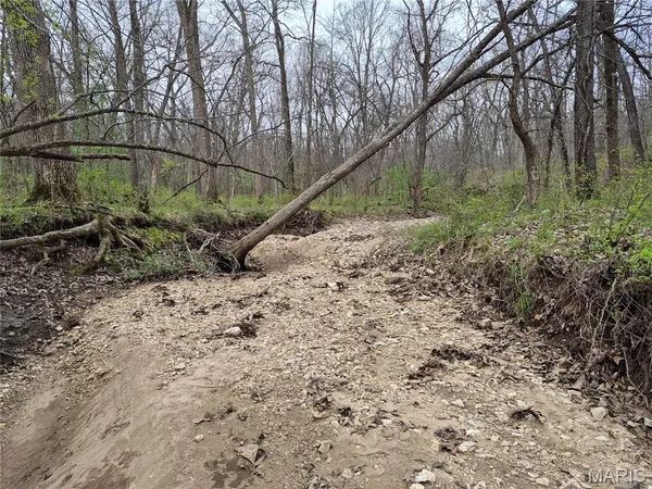 $336,000 | 29055 Pike 338, Middletown, MO 63359