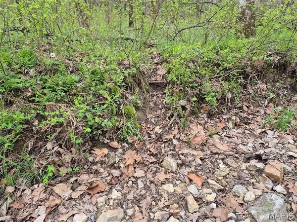 $336,000 | 29055 Pike 338, Middletown, MO 63359