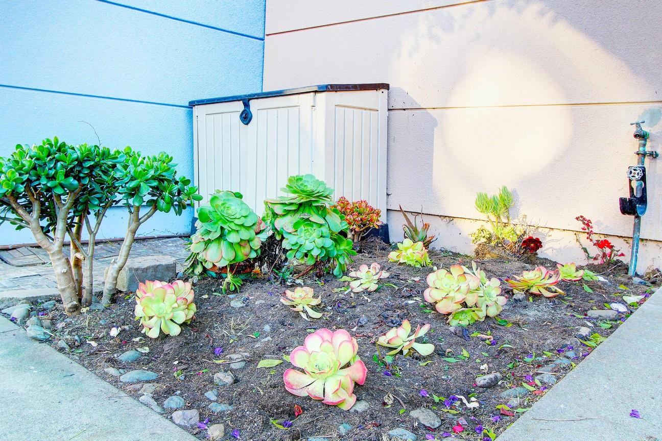 128 Orsi Circle San Francisco, CA 94124 - Photo 36 of 40 a bunch of flowers are in a garden