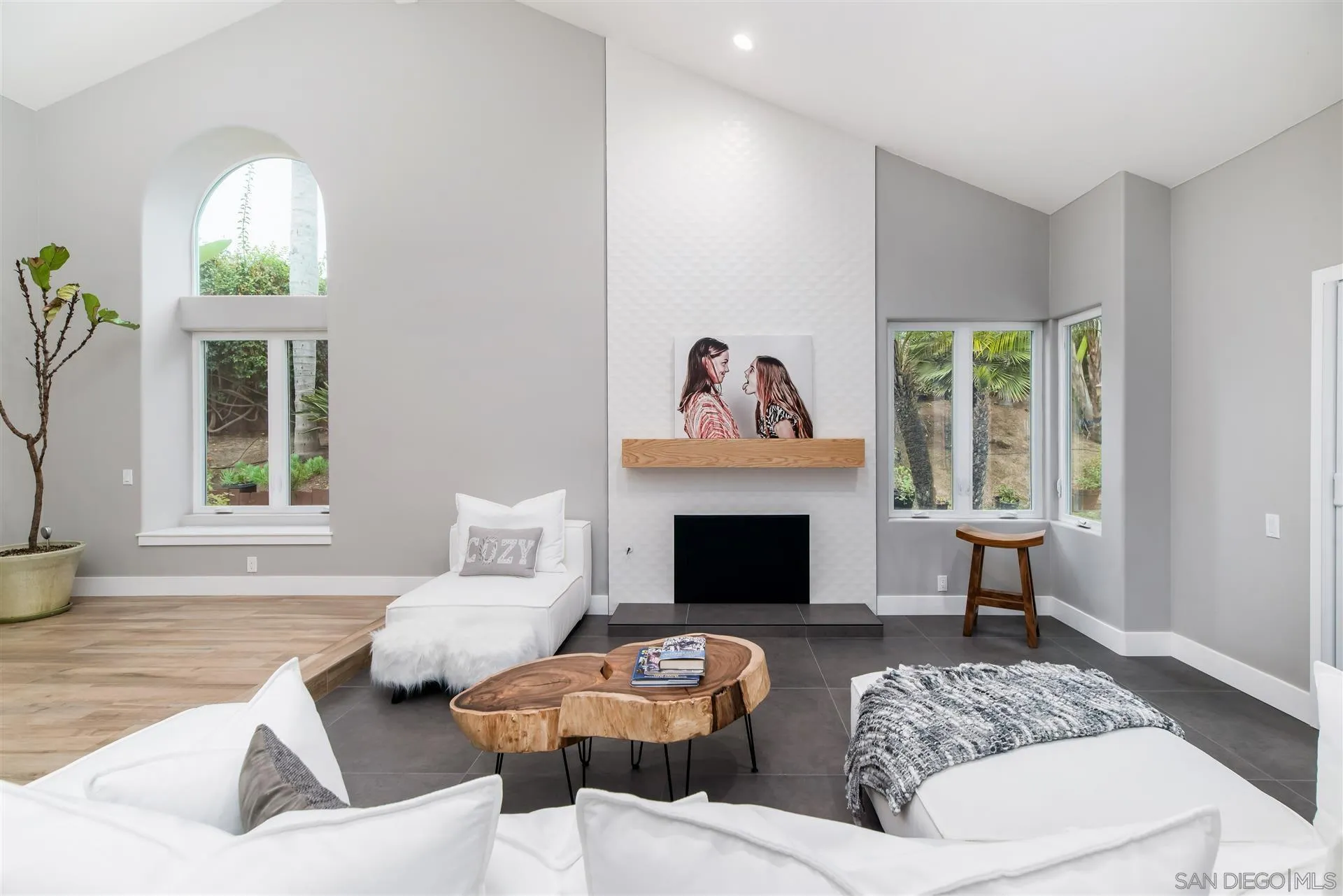 815 Marisa Lane Encinitas, CA 92024 - Photo 5 of 41 a living room with furniture and a fireplace