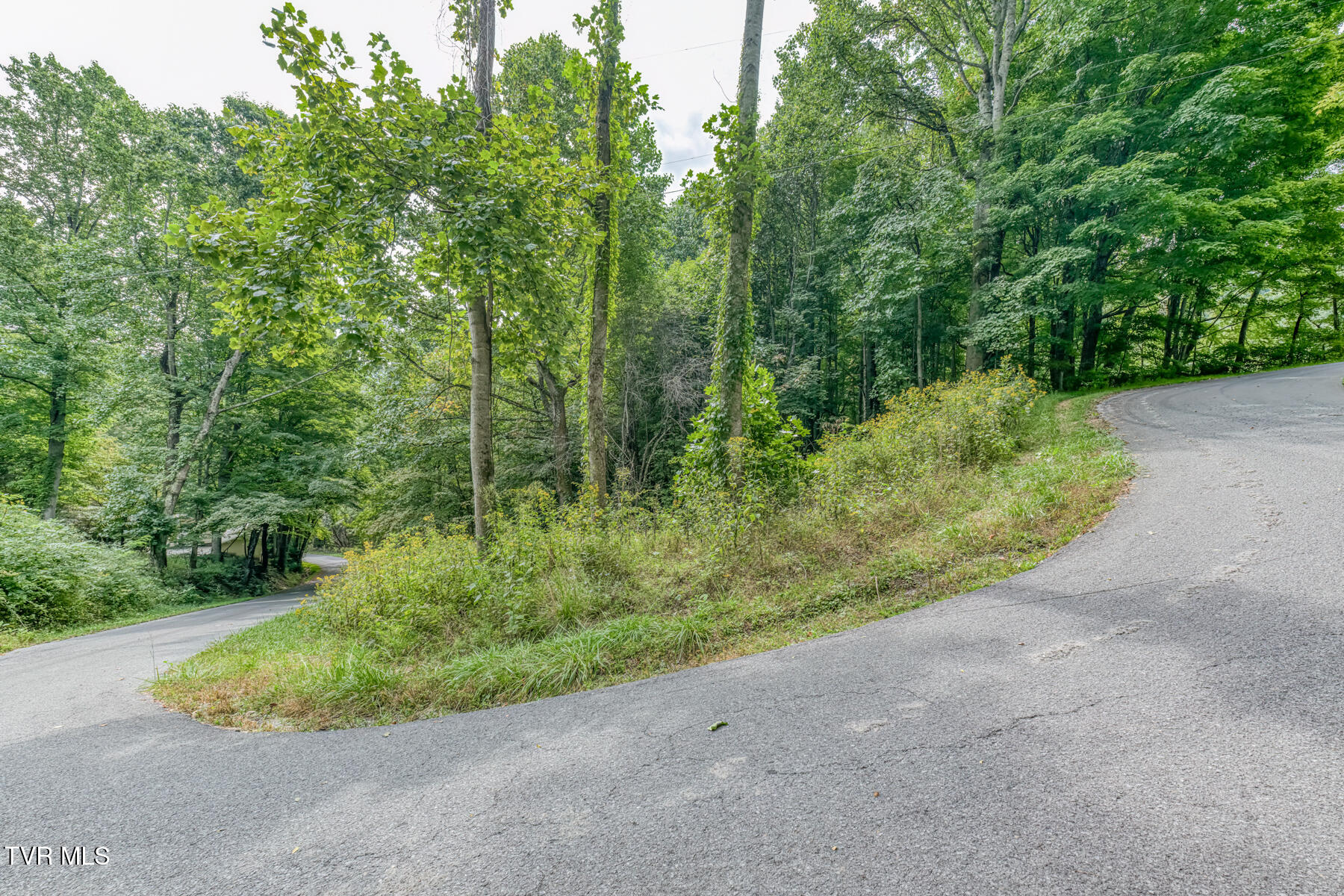 9.95-acres Heaton Ridge Road Roan Mountain, TN 37687 - Photo 19 of 19 TBD Heaton Ridge Rd-19