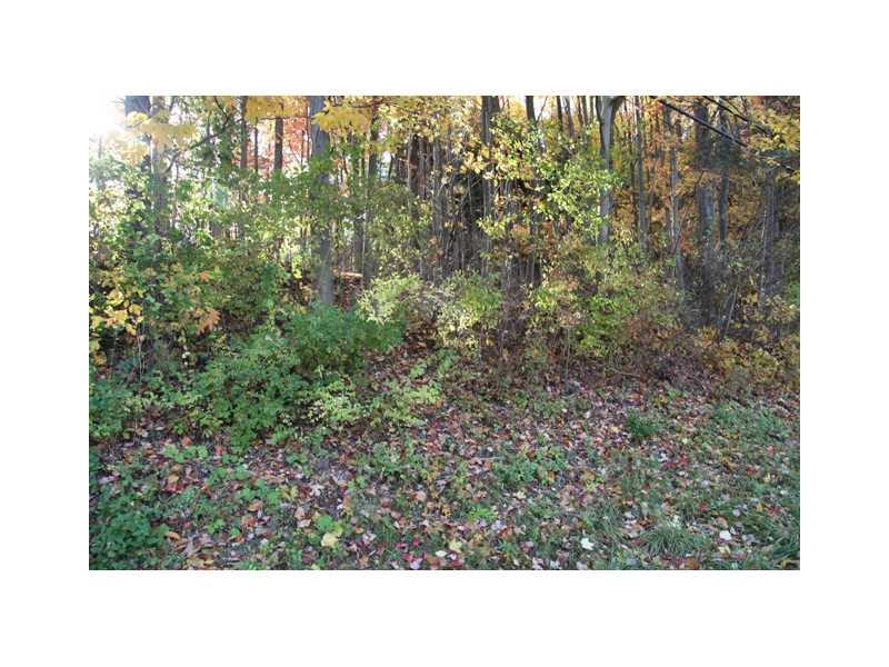 9220 Willoughby Road Pittsburgh, PA 15237 - Photo 13 of 13 Land/Lot.