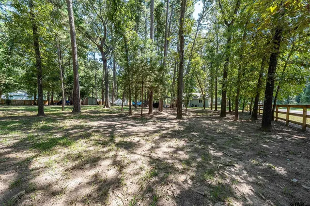 a view of park with trees