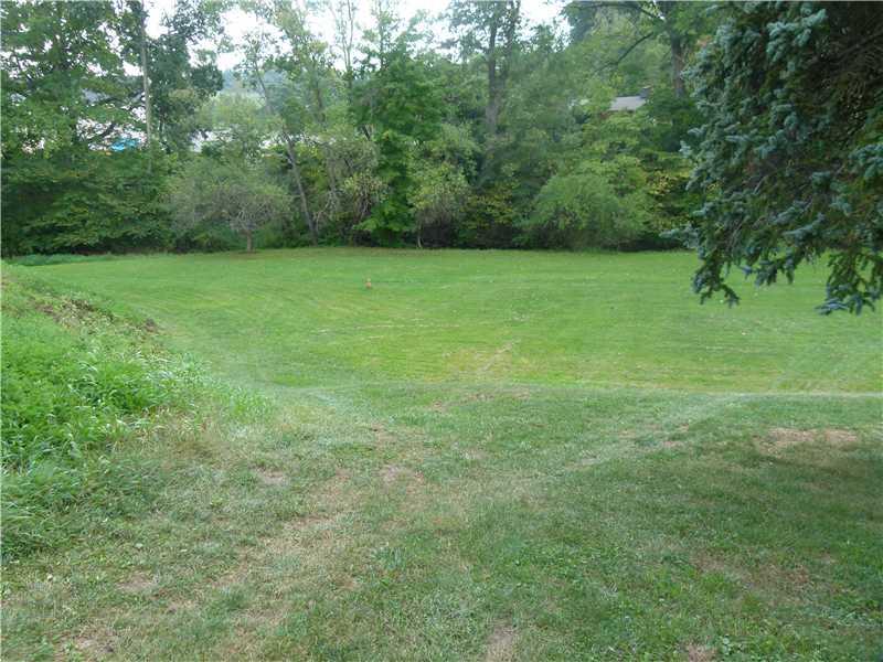 4101 New Texas Road Plum, PA 15239 - Photo 20 of 25 Yard/Garden.