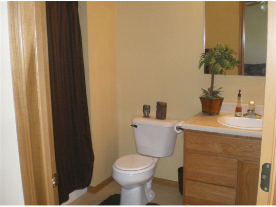 6780 Friday Road Byron, IL 61010 - Photo 6 of 6 a bathroom with a toilet and a sink