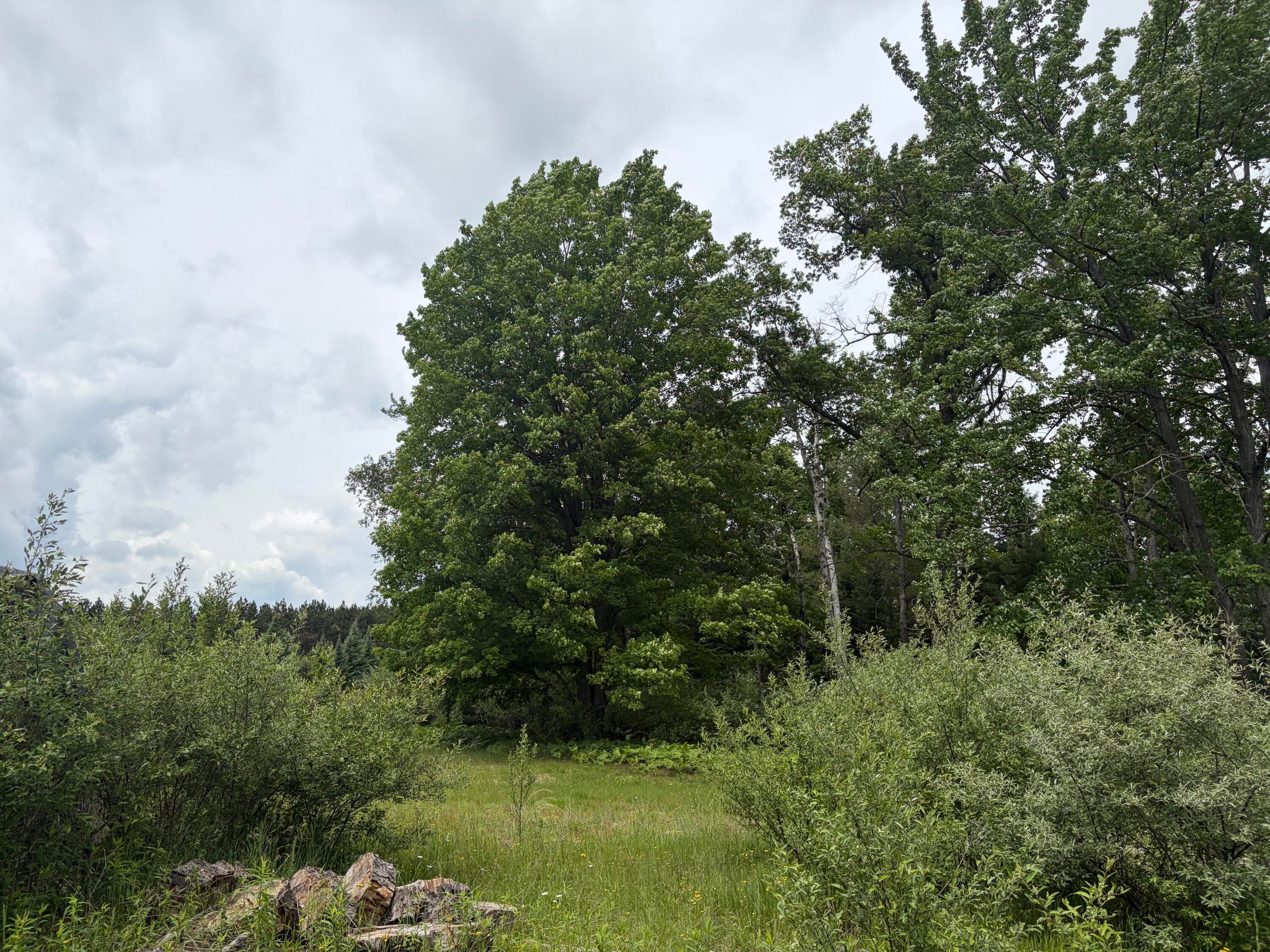 10-ac Garling Road Fairview, MI 48621 - Photo 14 of 19 Gallery Image 14