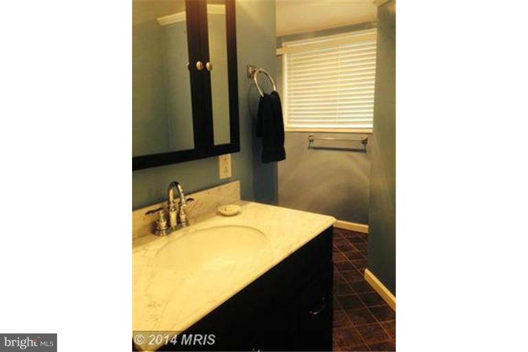 12511 Denley Road Silver Spring, MD 20906 - Photo 8 of 15 Bath (Master)