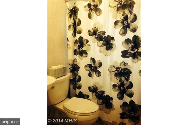 12511 Denley Road Silver Spring, MD 20906 - Photo 10 of 15 Bath