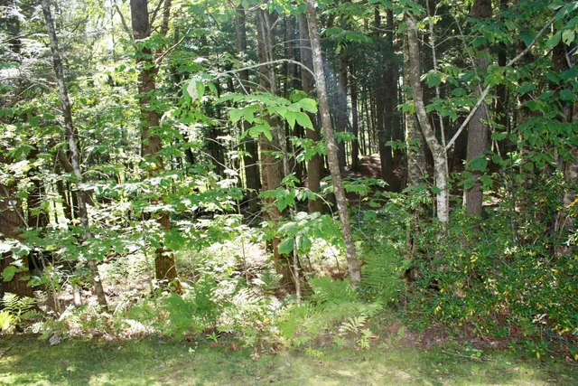 $220,000 | 956 Butternut Hill Road, Unit E4, Waitsfield, VT 05673