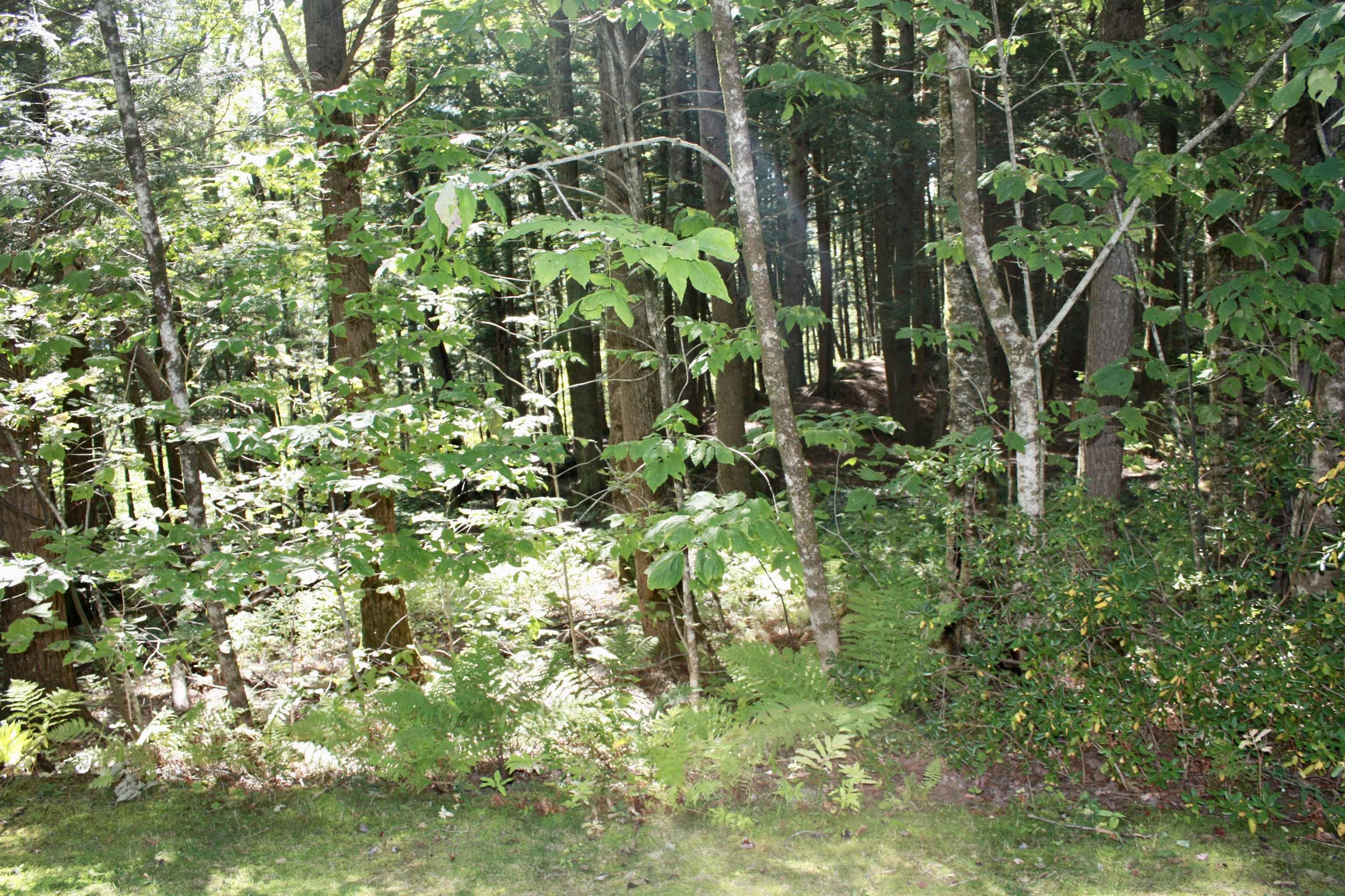 956 Butternut Hill Road, Unit E4 Waitsfield, VT 05673 - Photo 26 of 33