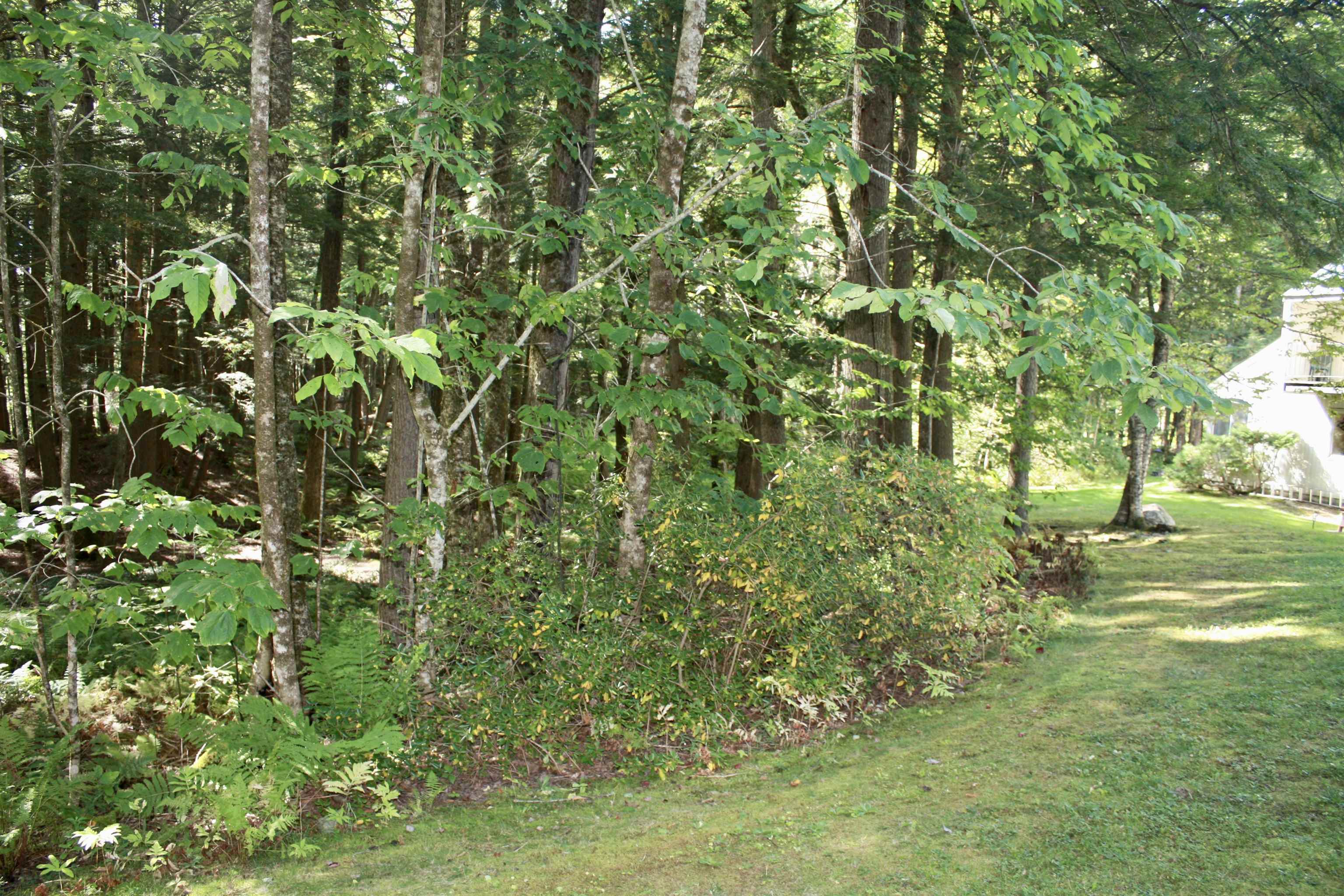956 Butternut Hill Road, Unit E4 Waitsfield, VT 05673 - Photo 27 of 33