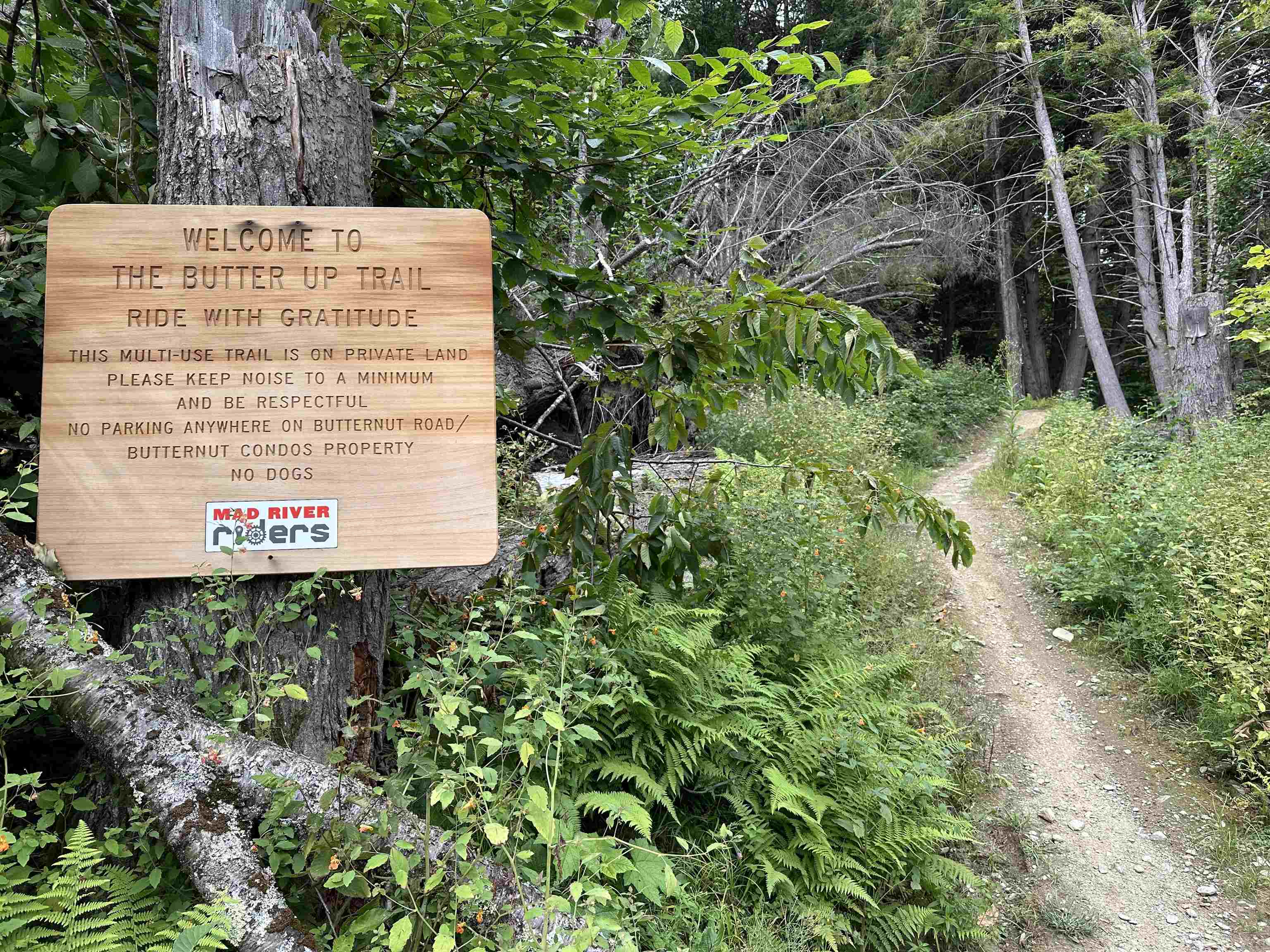 956 Butternut Hill Road, Unit E4 Waitsfield, VT 05673 - Photo 33 of 33