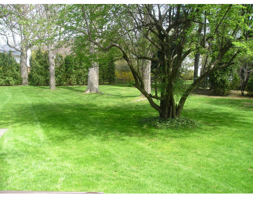 17 Tirrell Crescent Newton, MA 02467 - Photo 10 of 10 a green field with lots of trees