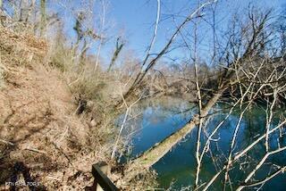 3602 Williams Mill Road Maryville, TN 37804 - Photo 11 of 17 DSC_0667