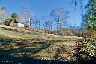 3602 Williams Mill Road Maryville, TN 37804 - Photo 15 of 17 DSC_0671
