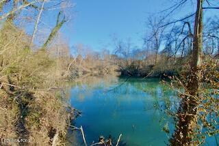 3602 Williams Mill Road Maryville, TN 37804 - Photo 10 of 17 DSC_0665