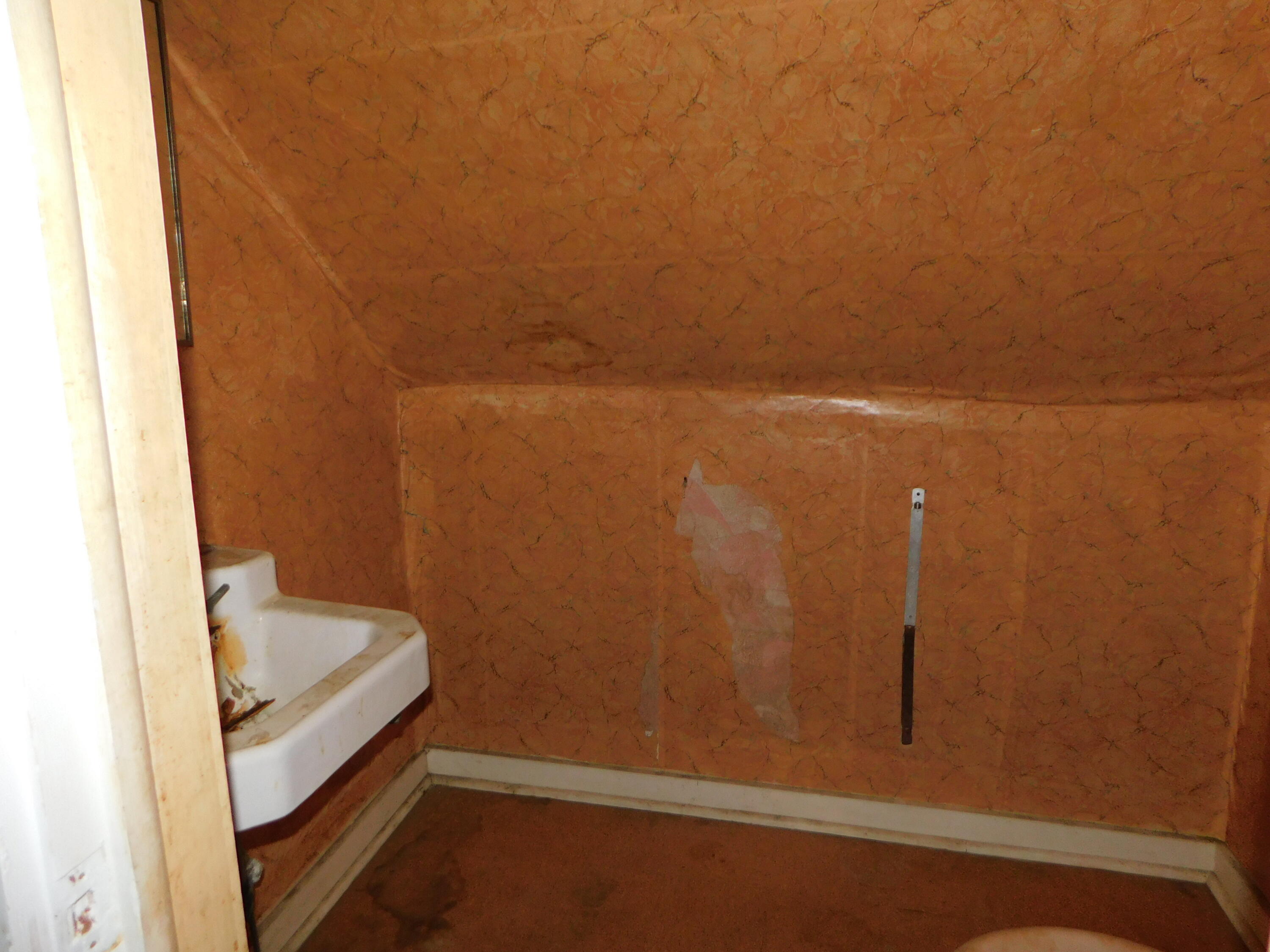 403 West St Marys Street Decatur, MI 49045 - Photo 13 of 19 HALF BATHROOM