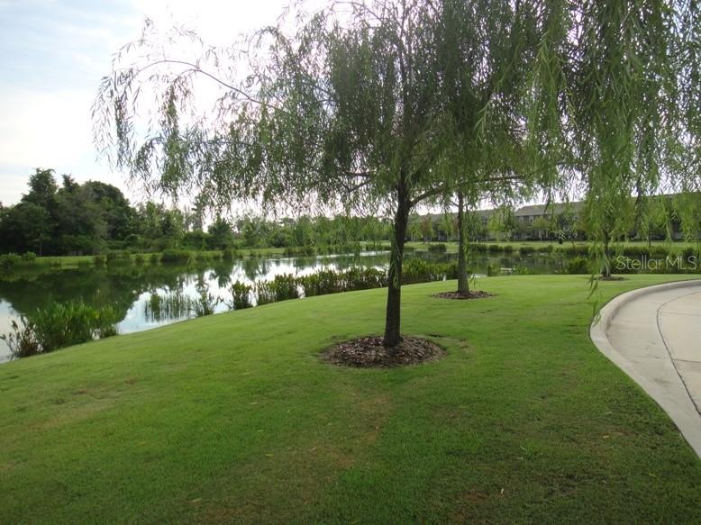5513 Somersby Road Windermere, FL 34786 - Photo 25 of 39