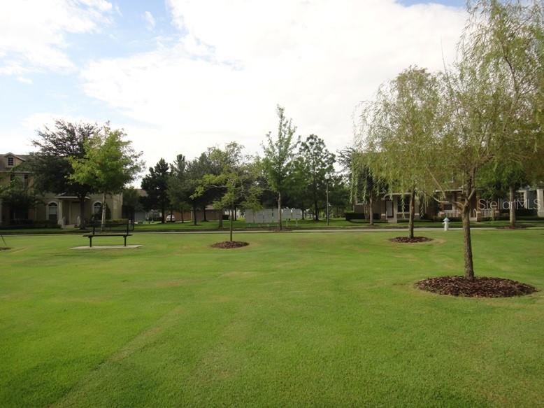5513 Somersby Road Windermere, FL 34786 - Photo 26 of 39