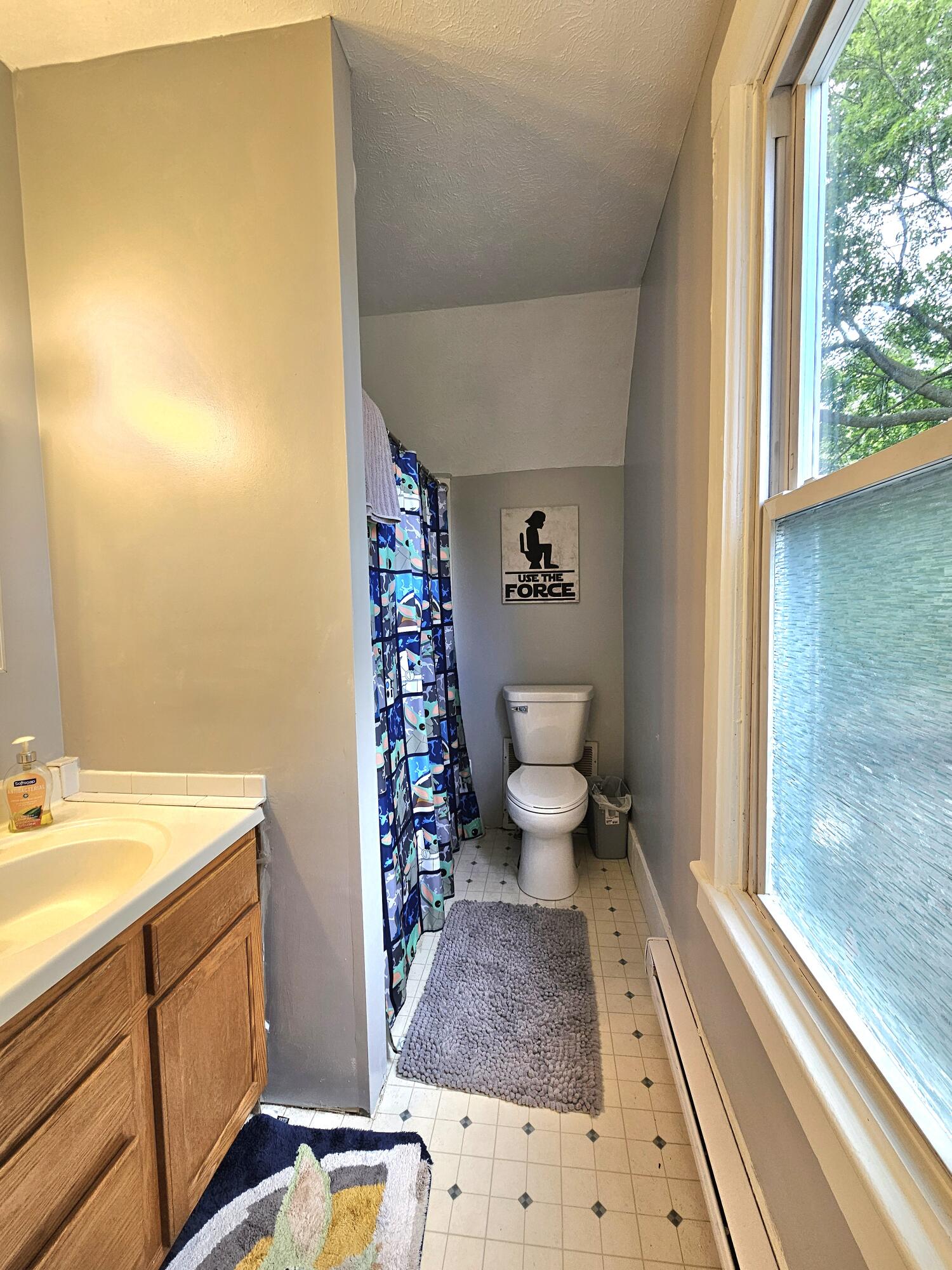 430 West Main Street Stanton, MI 48888 - Photo 34 of 38 1000112241