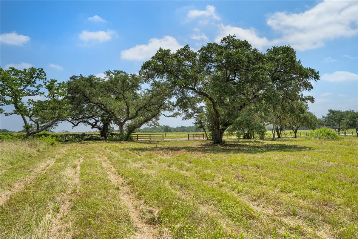 6900 Waldeck Cemetery Road Round Top, TX 78954 - Photo 6 of 24