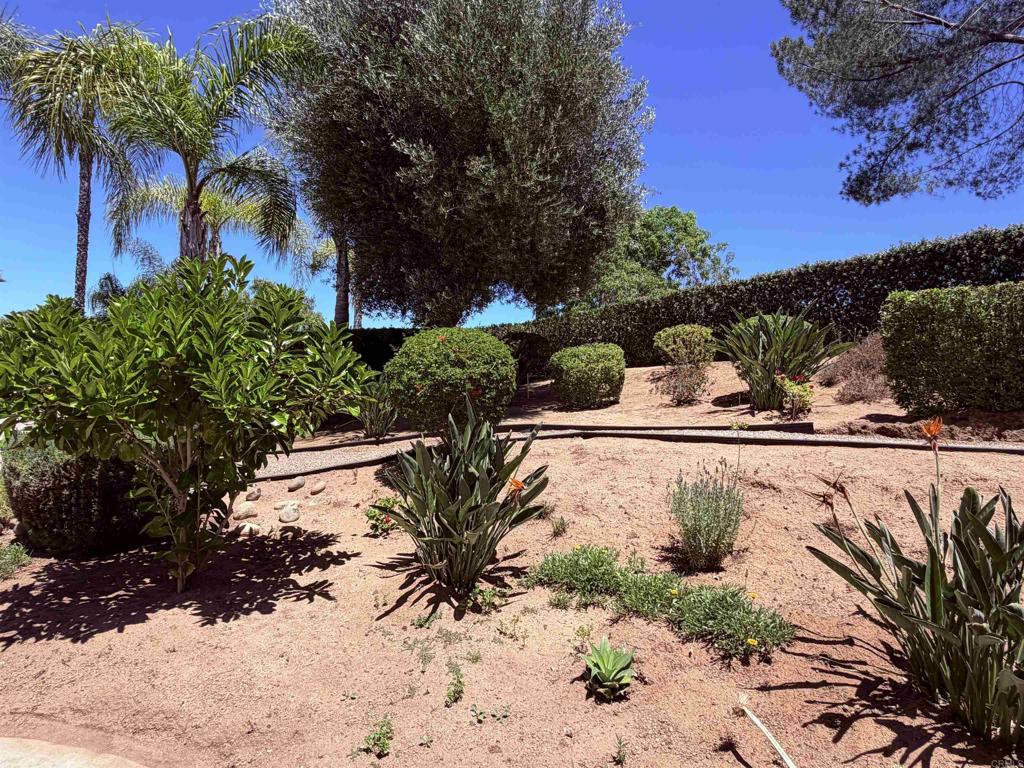 524 Rosvall Drive Fallbrook, CA 92028 - Photo 8 of 77