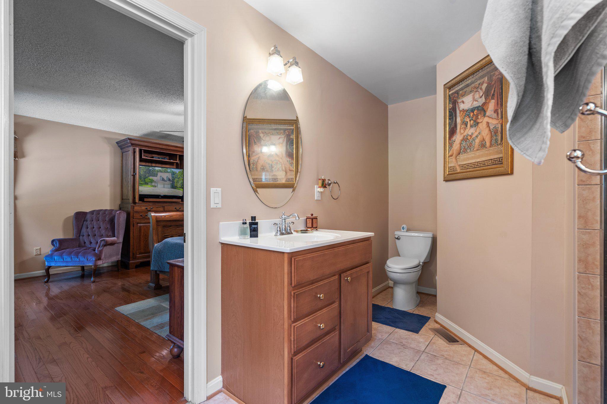 15049 Back Acres Culpeper, VA 22701 - Photo 31 of 83 Primary bath