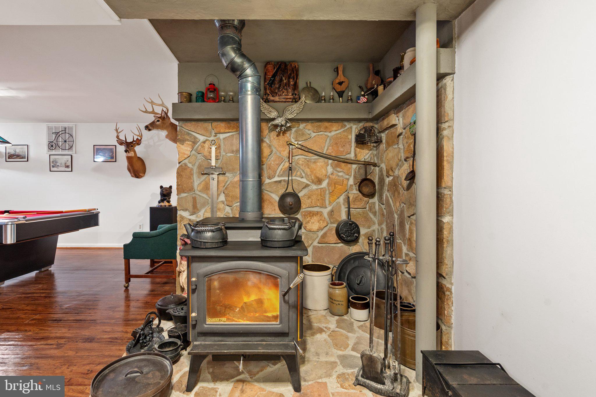 15049 Back Acres Culpeper, VA 22701 - Photo 49 of 83 Lower Level - Wood Stove conveys