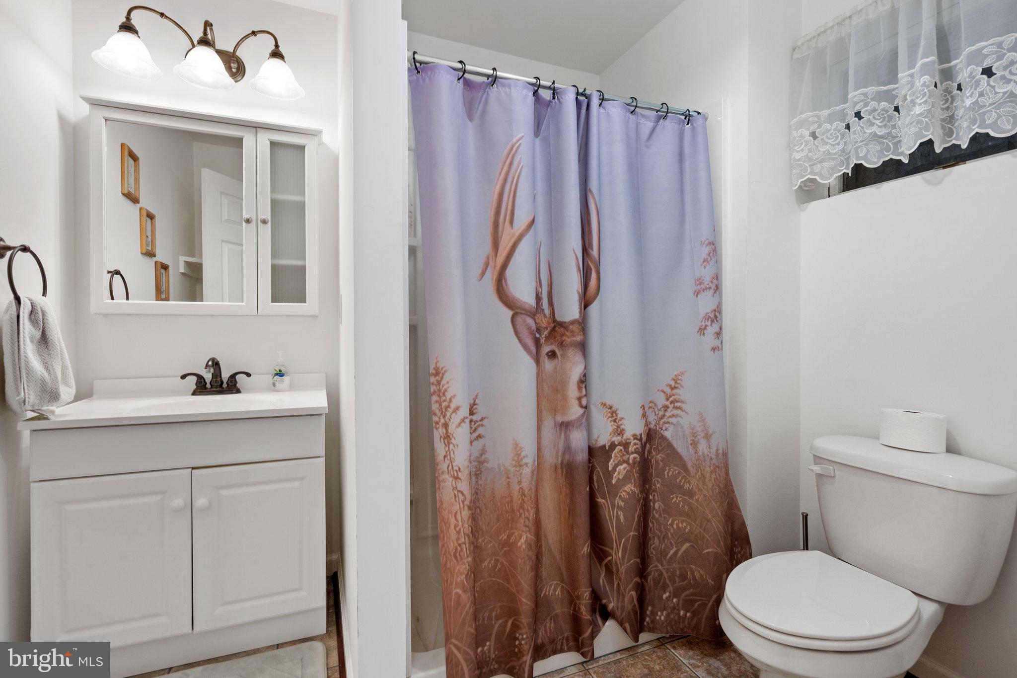 15049 Back Acres Culpeper, VA 22701 - Photo 52 of 83 Lower level full bath