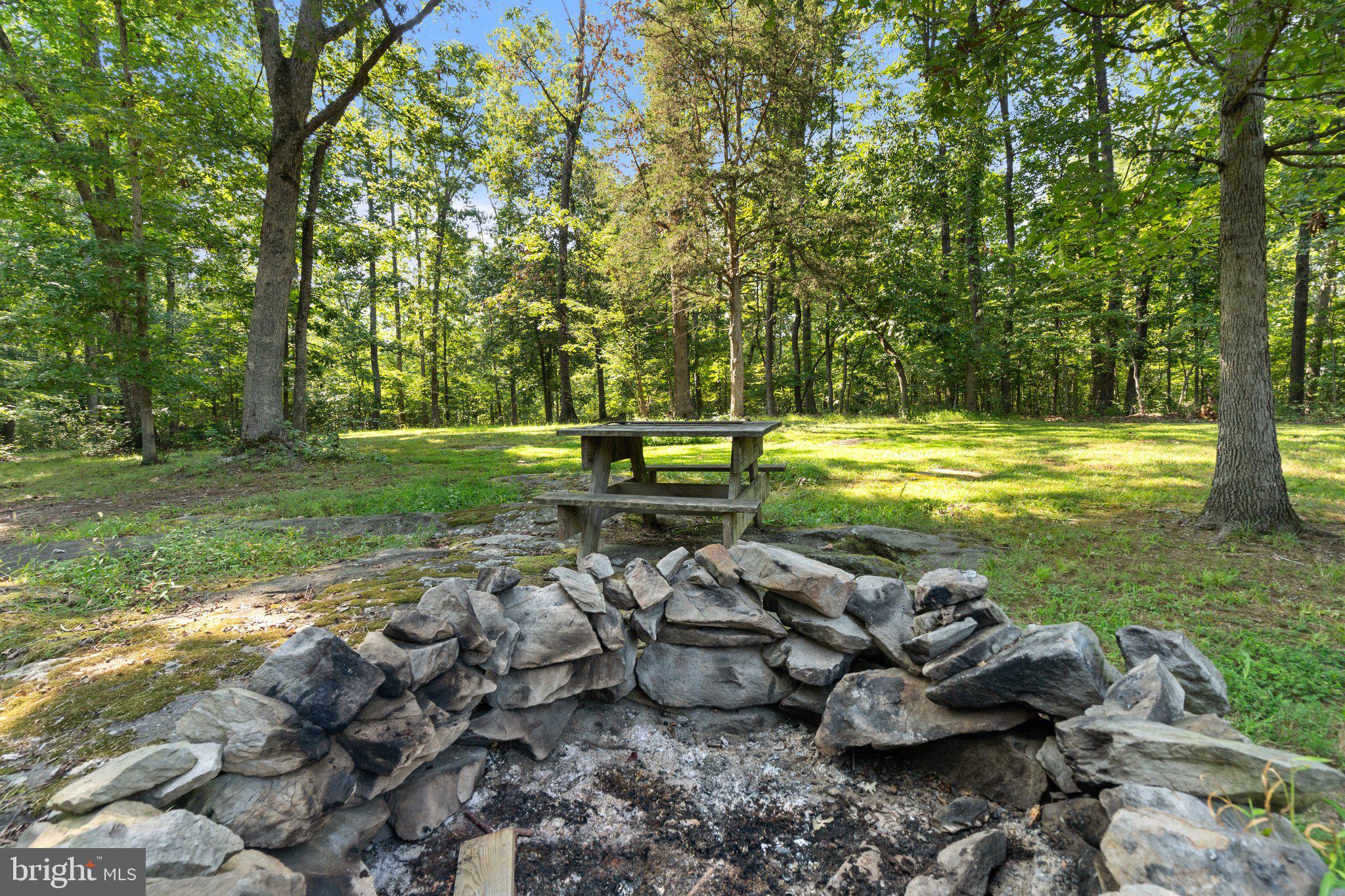 15049 Back Acres Culpeper, VA 22701 - Photo 74 of 83
