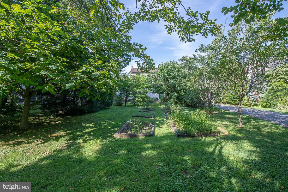 933 Merion Square Road Gladwyne, PA 19035 - Photo 37 of 38 Lush rear yard!