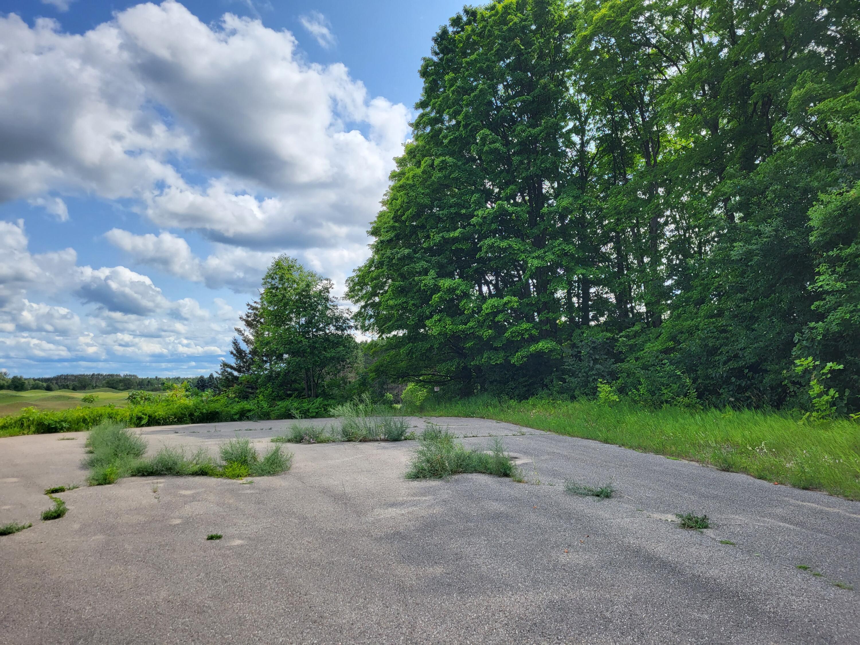 Cubs Way Vanderbilt, MI 49795 - Photo 3 of 6 Gallery Image 3