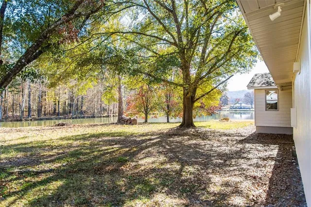 a view of a yard with trees in the background
