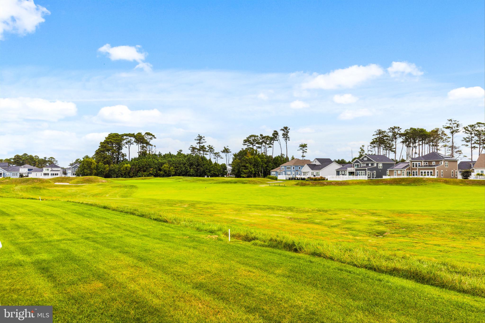 10135 Fast Colors Lane Berlin, MD 21811 - Photo 46 of 63