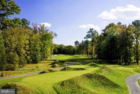 10135 Fast Colors Lane Berlin, MD 21811 - Photo 61 of 63 a view of a swimming pool with lawn chairs under an umbrella
