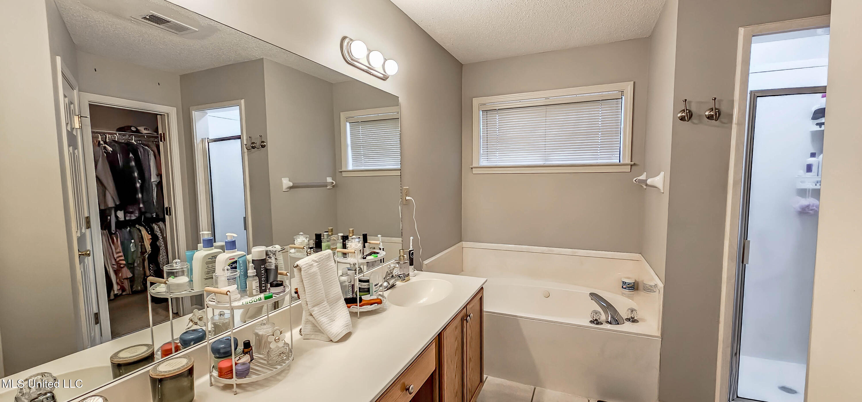 9076 Champlain Drive Olive Branch, MS 38654 - Photo 17 of 24 Dual Sinks in Primary Bath