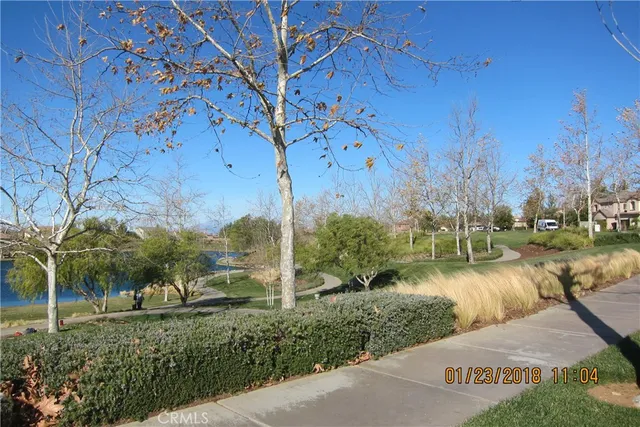 a view of a park with large trees