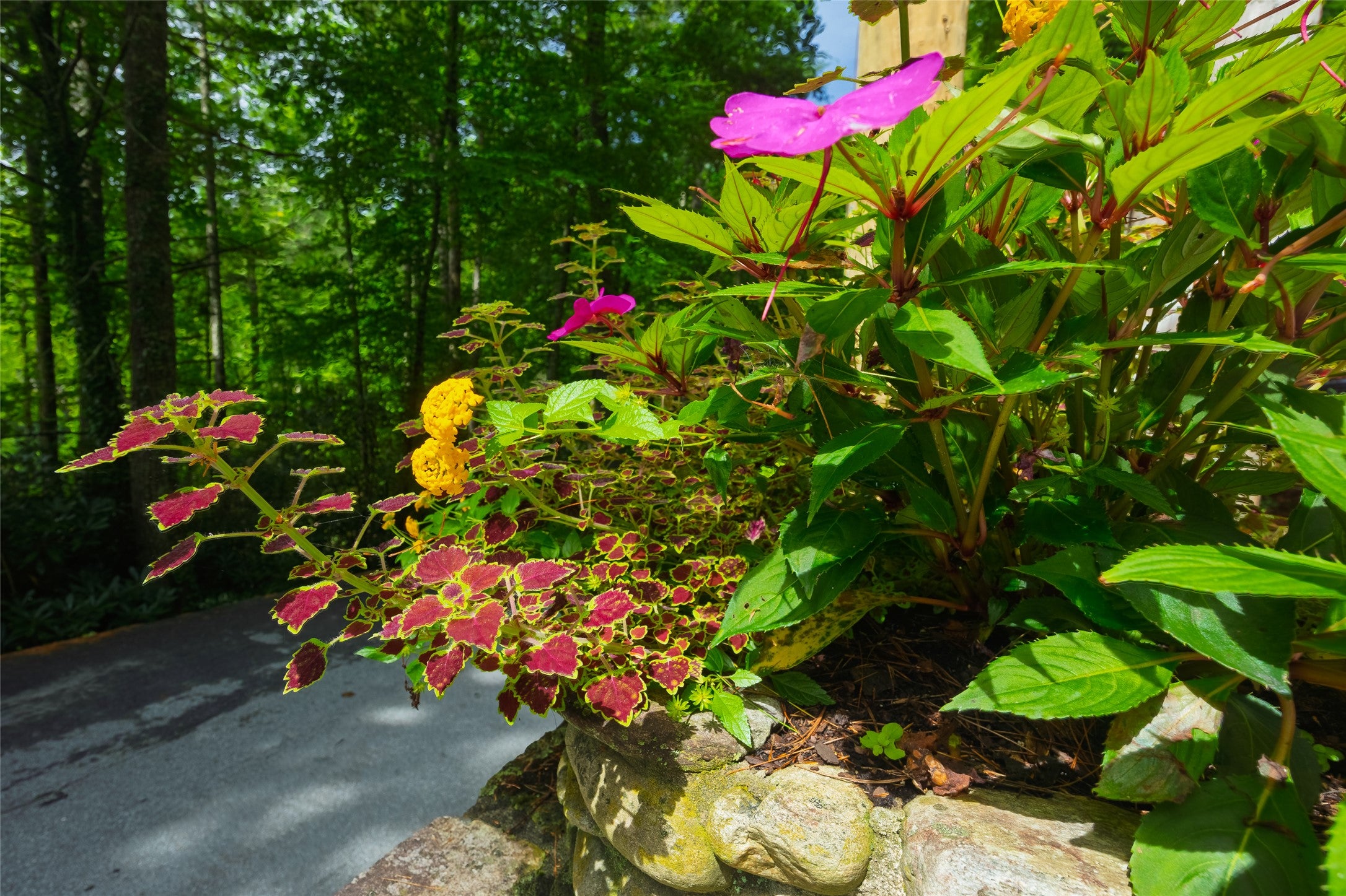 79 Rushing Brook Lane Cashiers, NC 28717 - Photo 11 of 11 Gallery Image 11