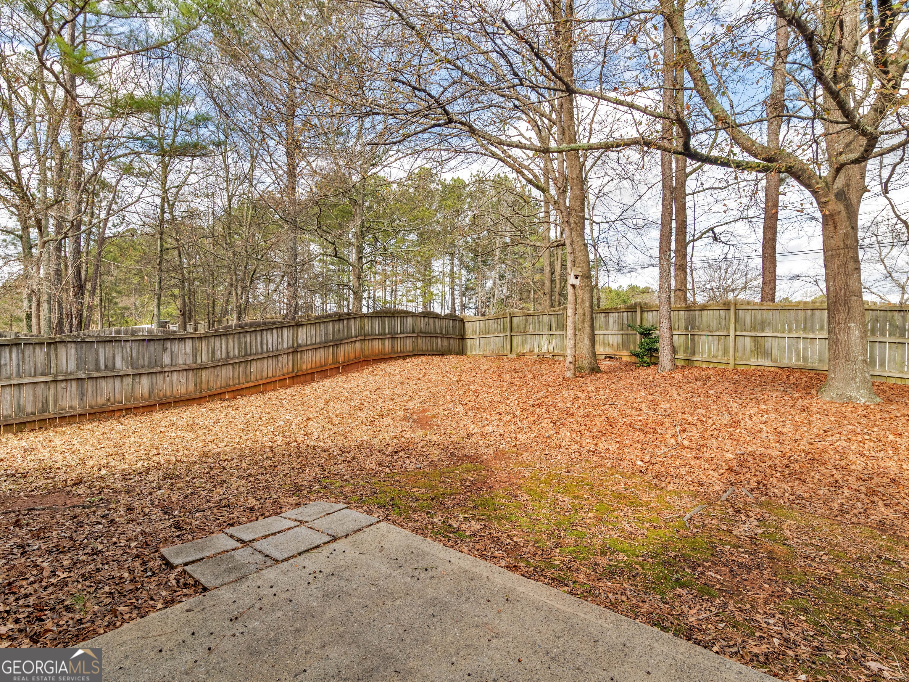 729 Old Stone Court Stockbridge, GA 30281 - Photo 38 of 47 a view of yard with large trees