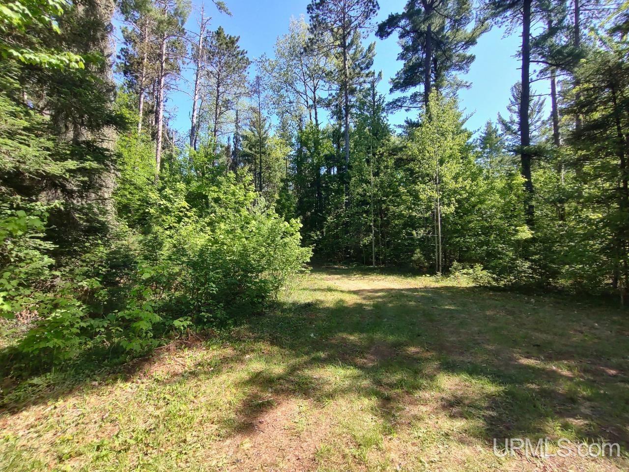 184 Marten Lake Road Iron River, MI 49935 - Photo 22 of 25
