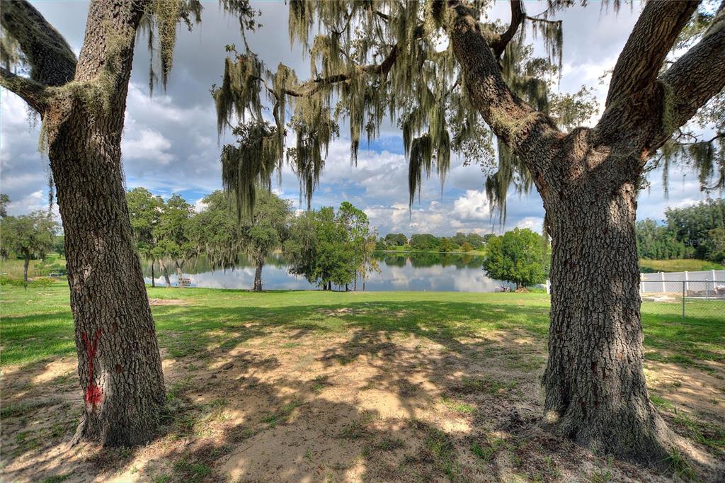 1042 Golden Bough Road Lake Wales, FL 33898 - Photo 50 of 53 a view of a trees in a yard