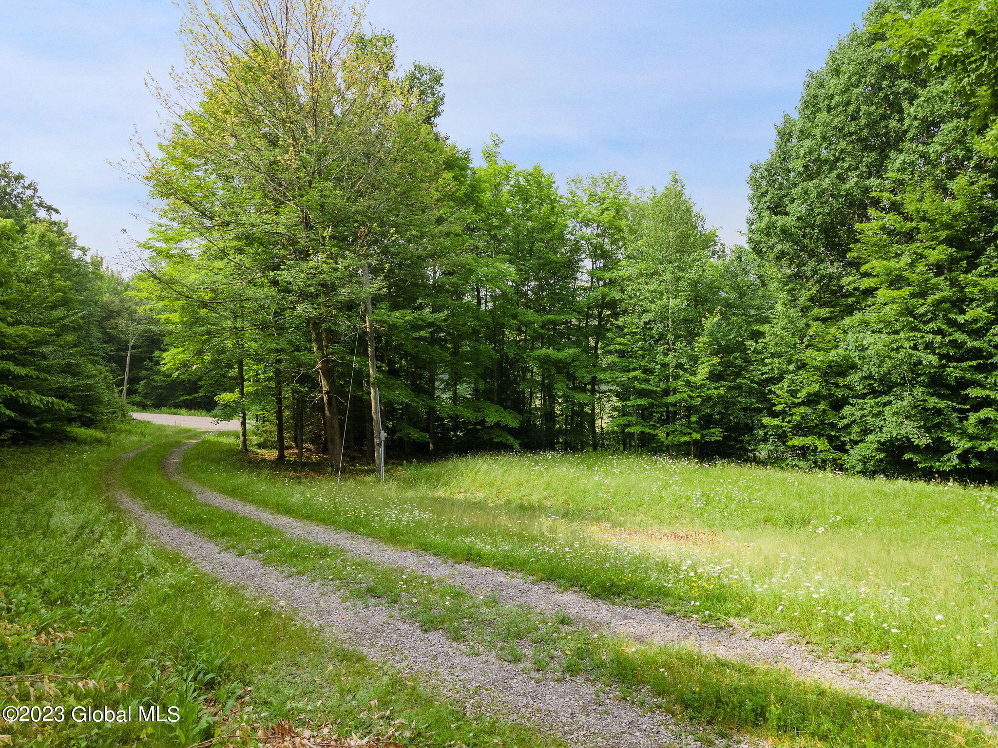 365 Peraglie Road Jefferson, NY 12093 - Photo 4 of 27 31-web-or-mls-365PeraglieRd_31