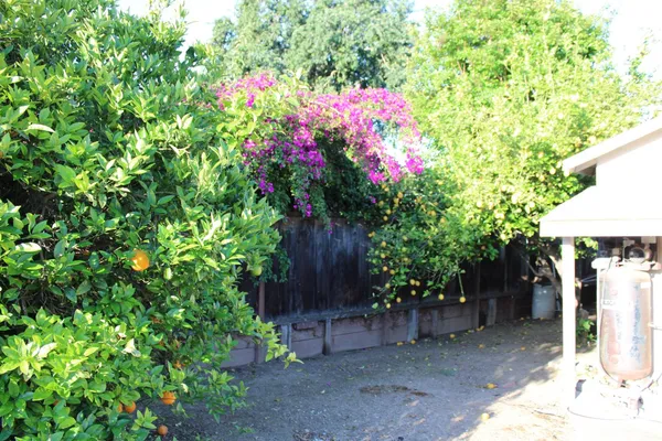 $769,000 | 1210 Michelle Avenue, Tracy, CA 95376