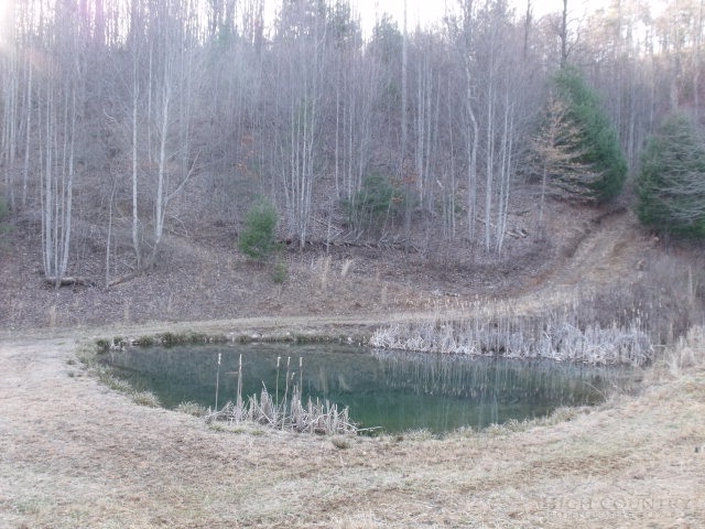 2169 Sandy Level Road Woodlawn, VA 24381 - Photo 2 of 17 Gallery Image 2