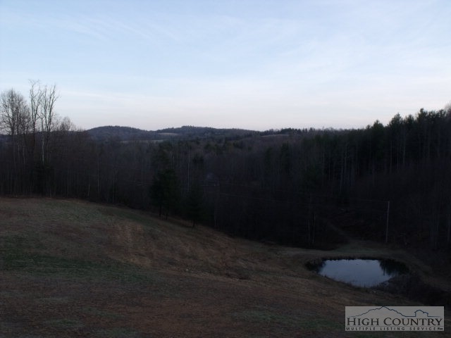 2169 Sandy Level Road Woodlawn, VA 24381 - Photo 7 of 17 Gallery Image 7