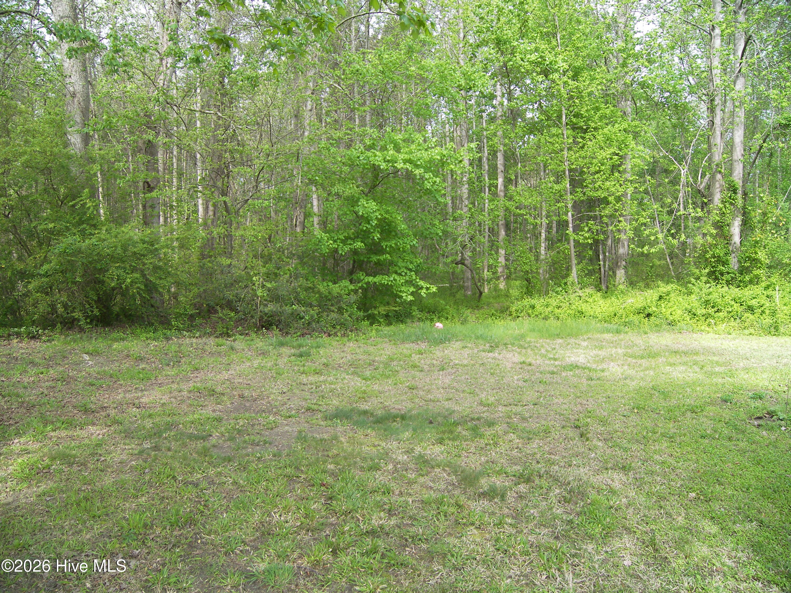2470 Ridge Road Spring Hope, NC 27882 - Photo 16 of 24 100_8210