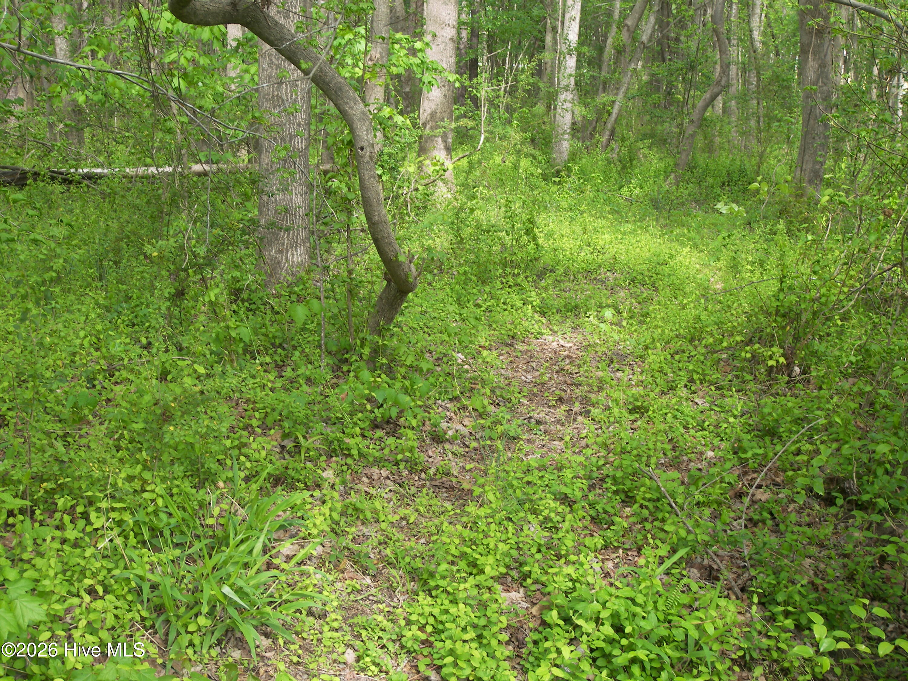 2470 Ridge Road Spring Hope, NC 27882 - Photo 18 of 24 100_8212