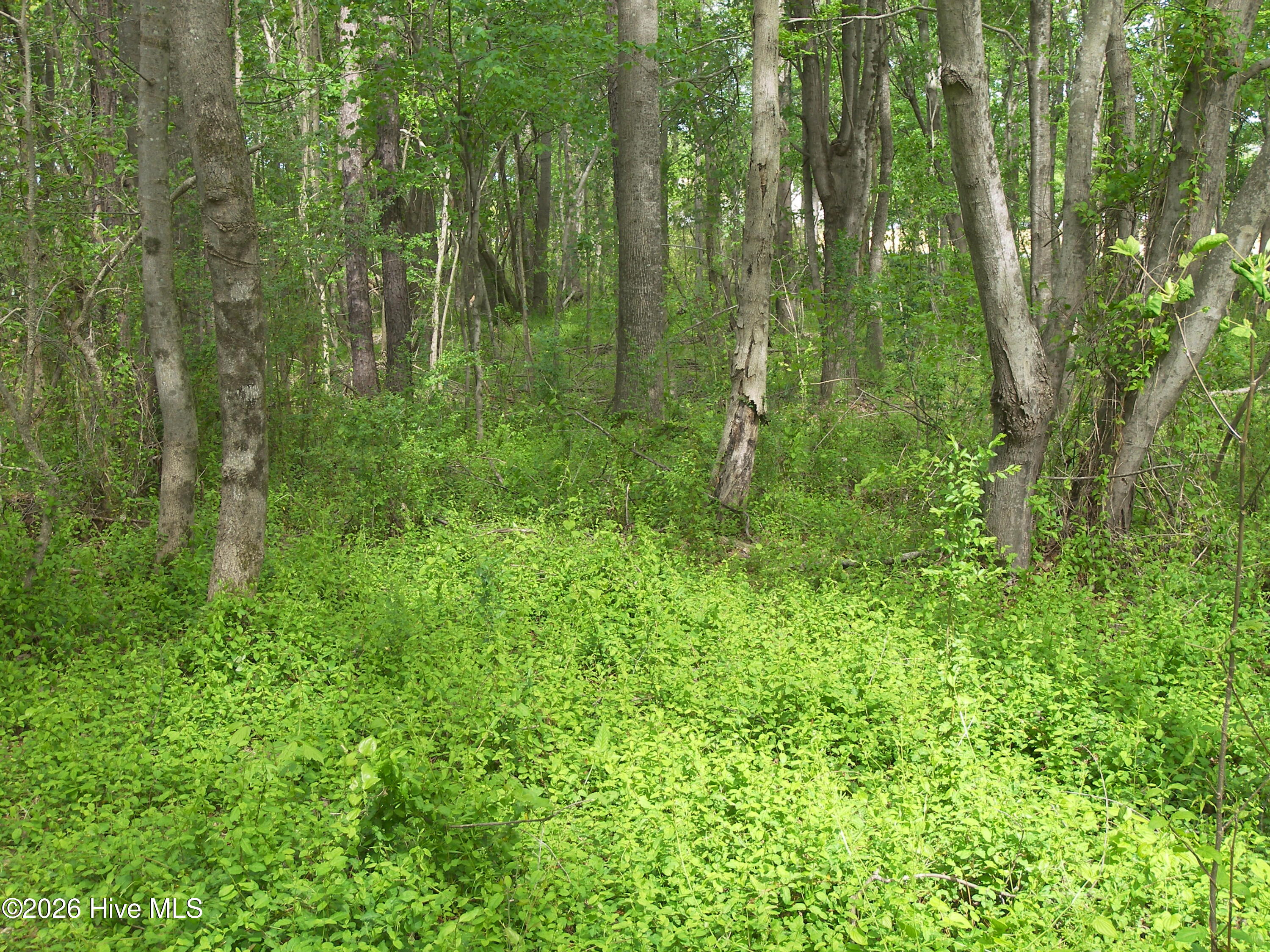 2470 Ridge Road Spring Hope, NC 27882 - Photo 19 of 24 100_8213