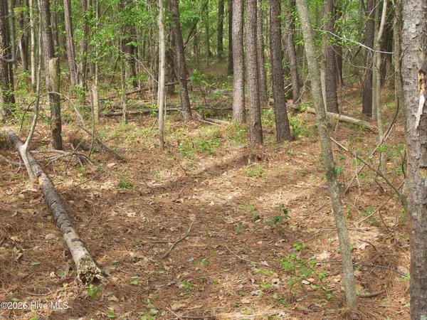 $325,000 | 2470 Ridge Road, Spring Hope, NC 27882