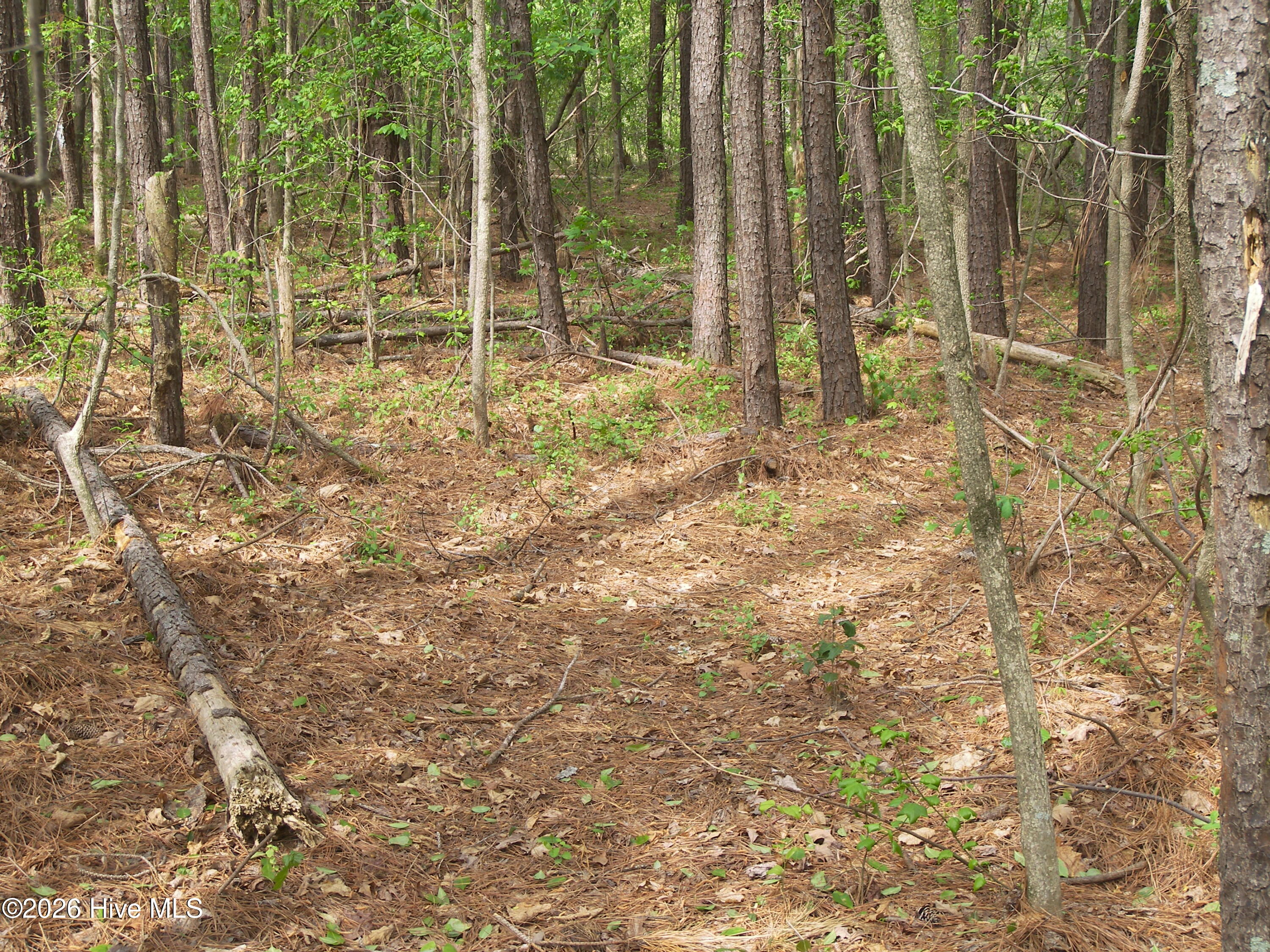 2470 Ridge Road Spring Hope, NC 27882 - Photo 20 of 24 100_8214